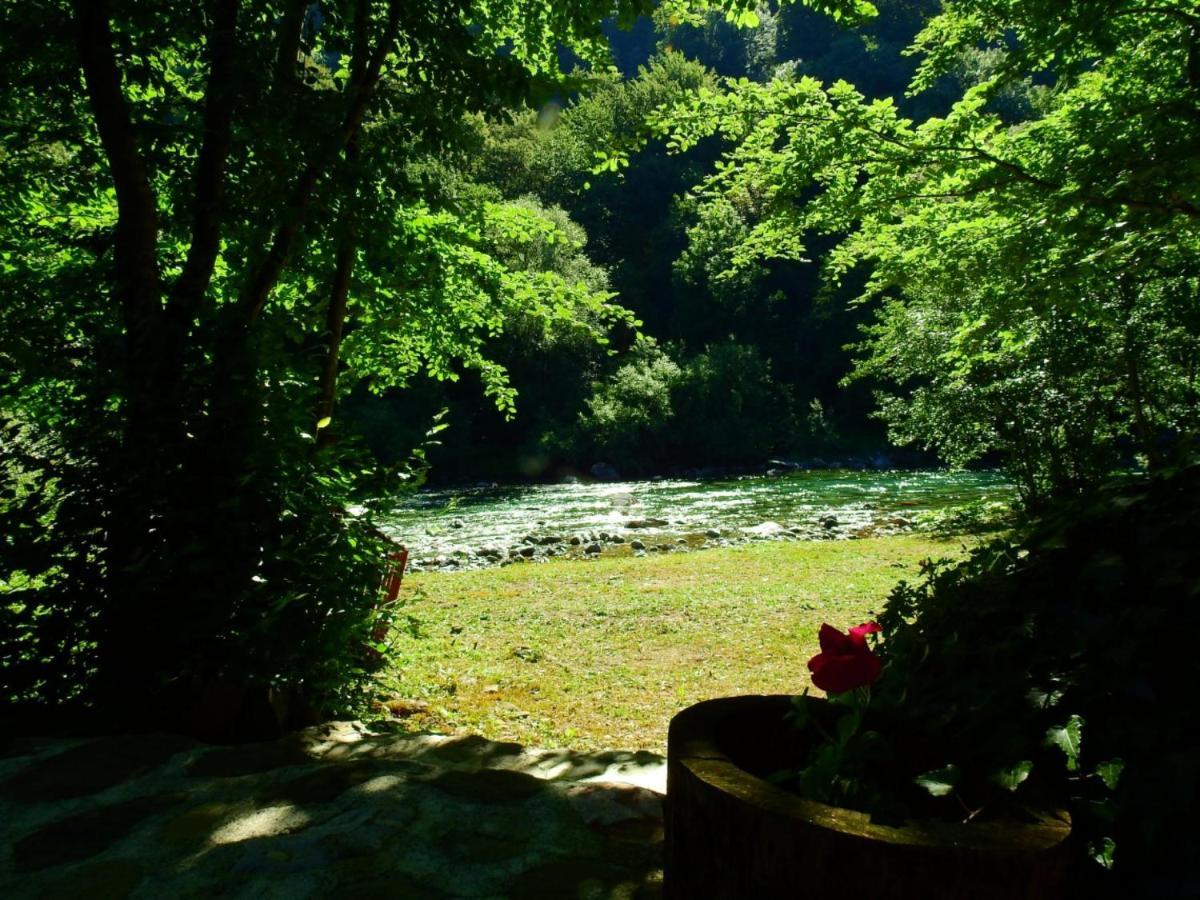 Private Accommodation Kalezic モイコヴァツ エクステリア 写真