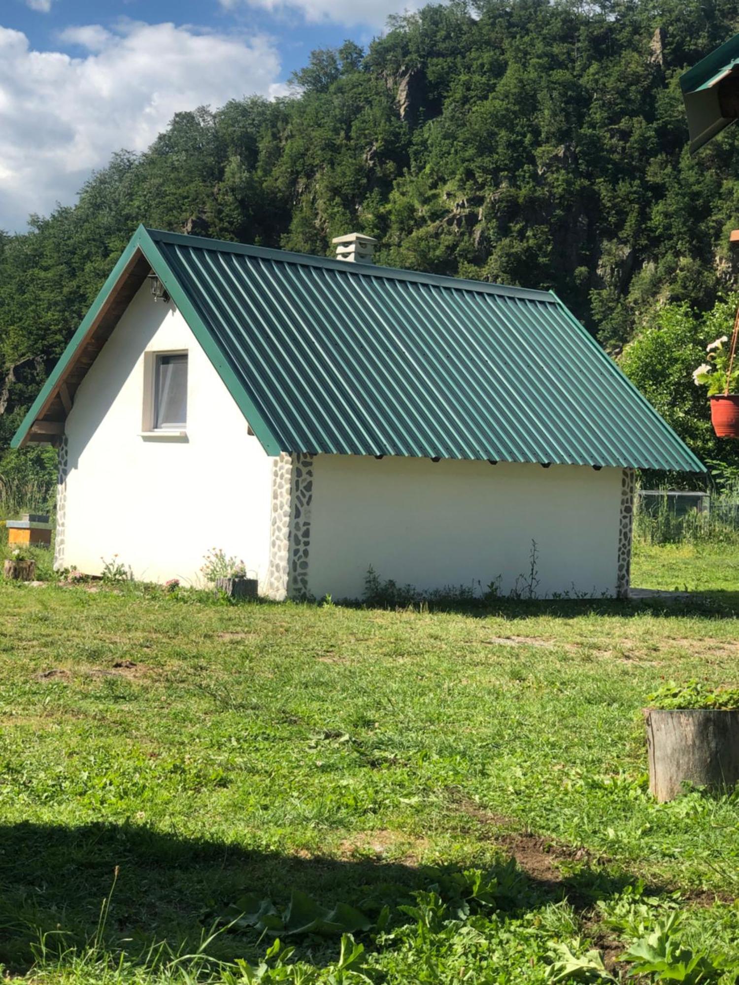 Private Accommodation Kalezic モイコヴァツ エクステリア 写真